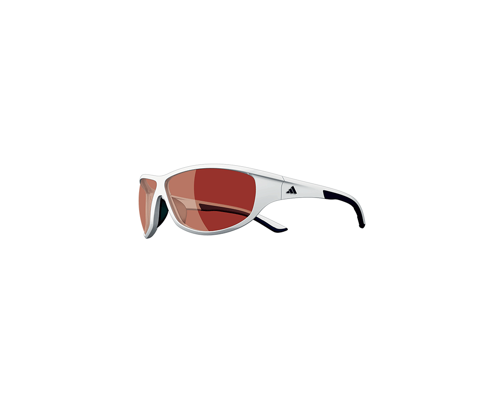 adidas daroga sunglasses