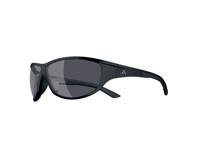 adidas daroga sunglasses