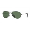 Ray-Ban Cockpit Gunmetal Crystal Green 