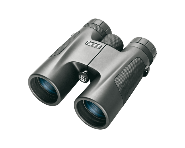 bushnell powerview 10x50