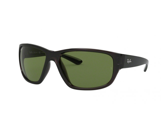 Ray Ban RB4300 Transparent Grey Green Polar Crystal RB4300 705 O9 Sunglasses IceOptic