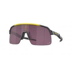 Oakley Sunglasses - Complete collection - Official Oakley Eyewear Retailer  since 1993 - IceOptic Chamonix Mont-Blanc