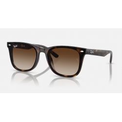 Ray-Ban RB4420 Havana - Brown Gradient