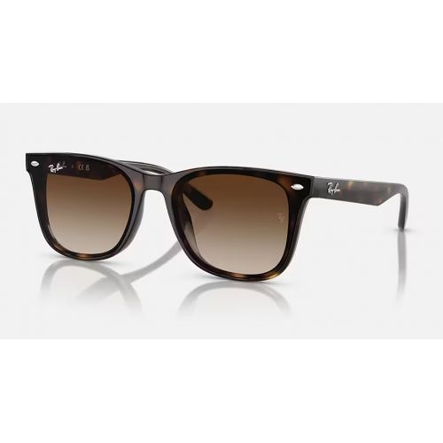 Ray-Ban RB4420 Havana - Brown Gradient