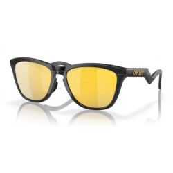 Oakley Frogskins Hybrid Matte Black w/ Prizm 24K Polar