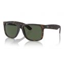 Ray-Ban Justin Rubber Havana - Dark Green Polar Cat.3