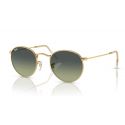 Ray-Ban Round Metal Arista - Green Vintage Cat.2