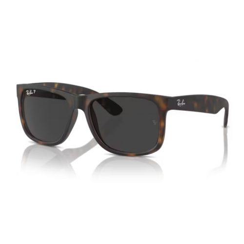 Ray-Ban Justin Rubber Havana - Dark Grey Polar Cat.3