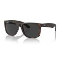 Ray-Ban Justin Rubber Transparent Blue Dark Blue