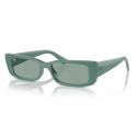 Ray-Ban Teru RB4425 Algae Green - Petrol Green Cat.2