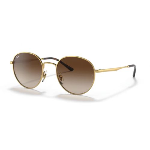 Ray-Ban RB3681 Arista -Gradient Brown Lenses cat.3