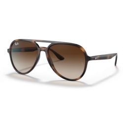 Ray-Ban RB4376 Black Dark Green Lens