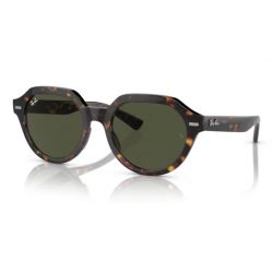 Ray-Ban Gina RB4399 Havana Green Lens