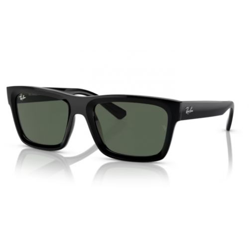 Ray-Ban RB4396 Warren Black Dark Green Lens