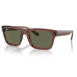 Ray-Ban RB4396 Warren Transparent Brown Dark Green Polar