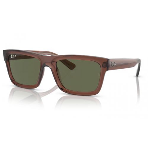 Ray-Ban RB4396 Warren Transparent Brown Dark Green Polar