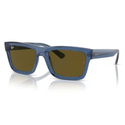 Ray-Ban RB4396 Warren Transparent Dark Blue Dark Brown Lens