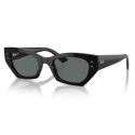 Ray-Ban Zena RB4430 Black - Dark Grey Cat.3