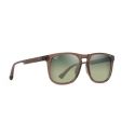 Maui Jim Kupaa Shiny Black Translucide Light Brown- Maui HT Lenses