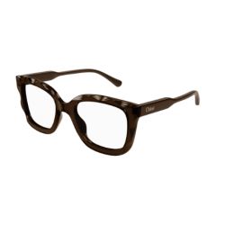 Chloé CH0229O Brown-Brown-Transparent