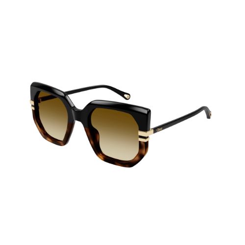 Chloé CH0240S Black-Black-Brown 