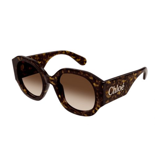 Chloé CH0234S Havana-Havana-Brown Lenses