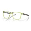 Oakley Centerboard Polished Transparent Fern