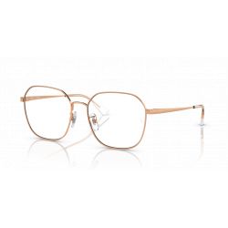 Ray-Ban RX6490D Rose Gold