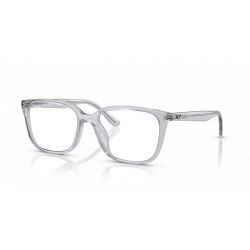 Ray-Ban RX7248D Transparent Light Grey 