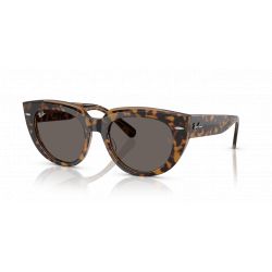 Ray-Ban RB2286 Doreen Havana on Transparent Brown - Dark Grey