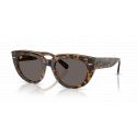 Ray-Ban RB2286 Doreen Havana on Transparent Brown - Dark Grey