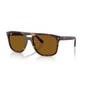 Ray-Ban RB2213 Havana - Brown