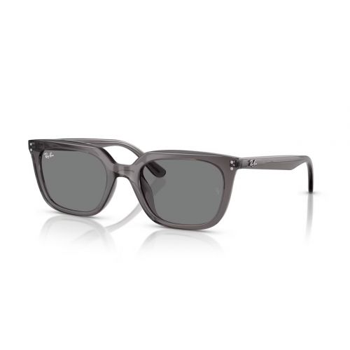 Ray-Ban RB4439D Transparent Grey - Drak Grey