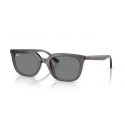 Ray-Ban RB4439D Transparent Grey - Drak Grey