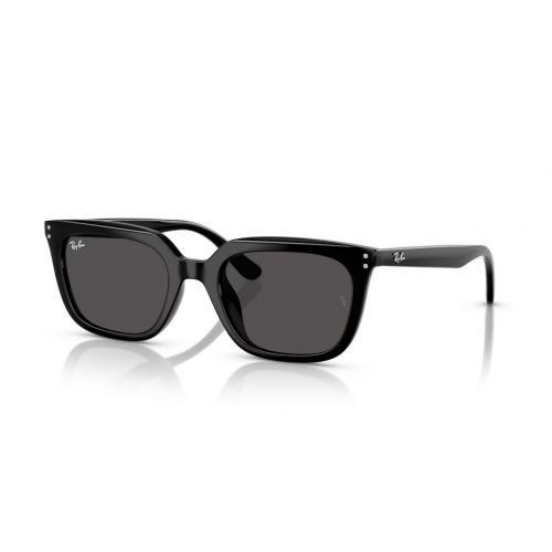 Ray-Ban RB4439D Black - Dark Grey