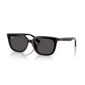 Ray-Ban RB4439D Black - Dark Grey