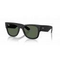 Ray-Ban RB4840S Sand Black - Dark Green