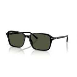 Ray-Ban RB2231 Raimond Black - Green