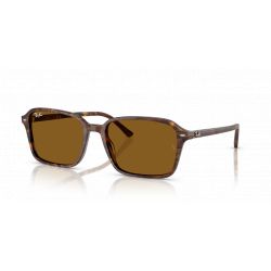 Ray-Ban RB2231 Raimond Transparent Fantasy Brown - Brown