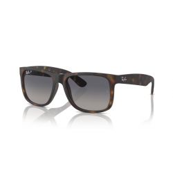 Ray-Ban Justin Rubber Havana - Grey Gradient Blue Polar Cat.2