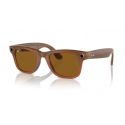 Ray-Ban Meta Wayfarer Shiny Caramel - Polar Brown